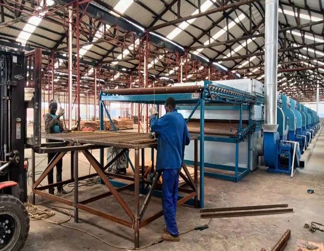 máy sấy ván mỏng