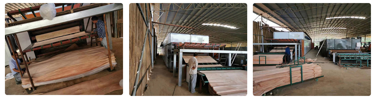 pengering veneer sabuk jala